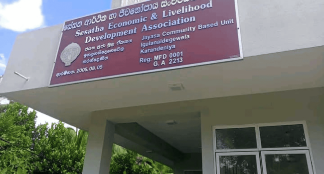 Untitled design (66)